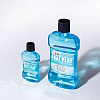 Освежающий лубрикант для оральных ласк Oral Play Mouth Care Lotion Mint, 80 мл